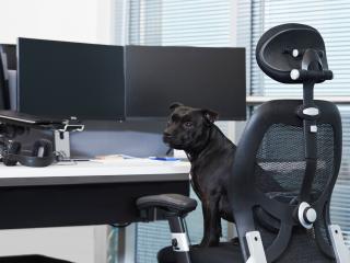 Droptica - office in Wrocław